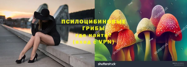 амф Медвежьегорск