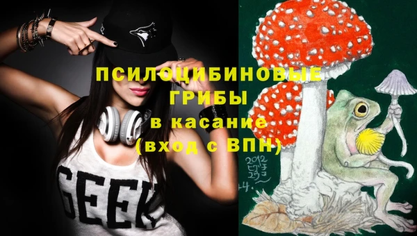 сатива Мегион