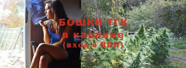 сатива Мегион