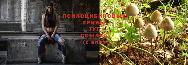 сатива Мегион