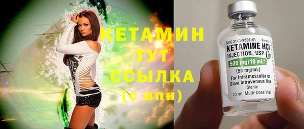 сатива Мегион