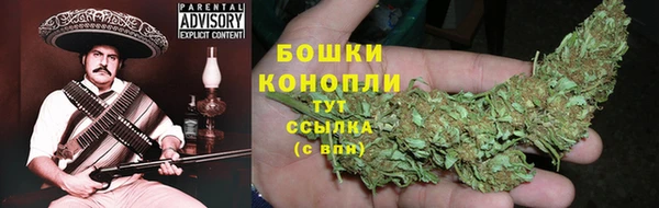сатива Мегион