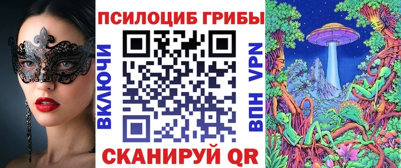 Псилоцибиновые грибы Cubensis  мега ссылки  Ужур 