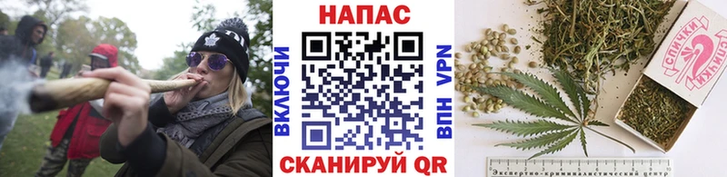 Конопля Bruce Banner Ужур